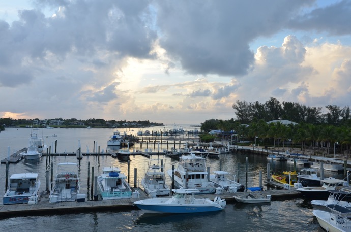 Daisy Walks South Florida Marina Aerial Photography Video